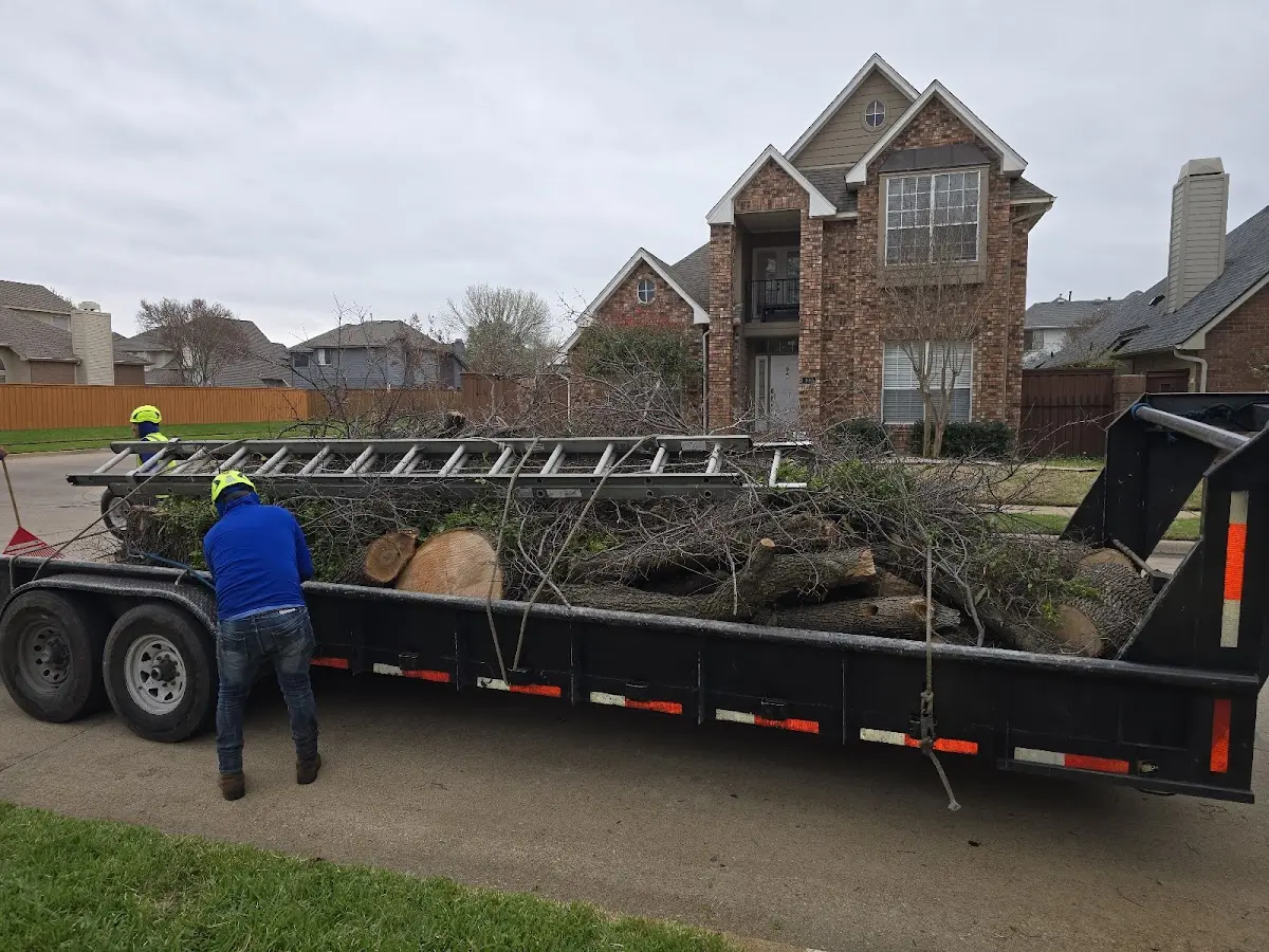 Expert Tree Fertilization with proper safety equipment in Hindsville
